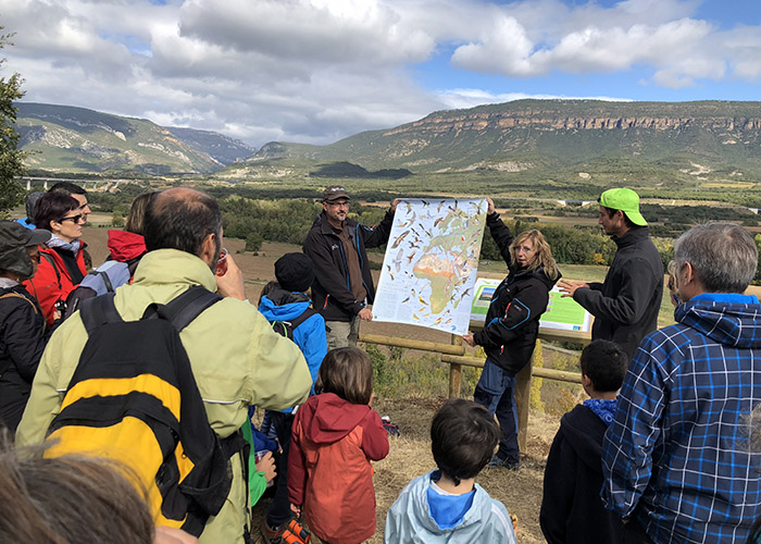 Filosofía de Aragonea