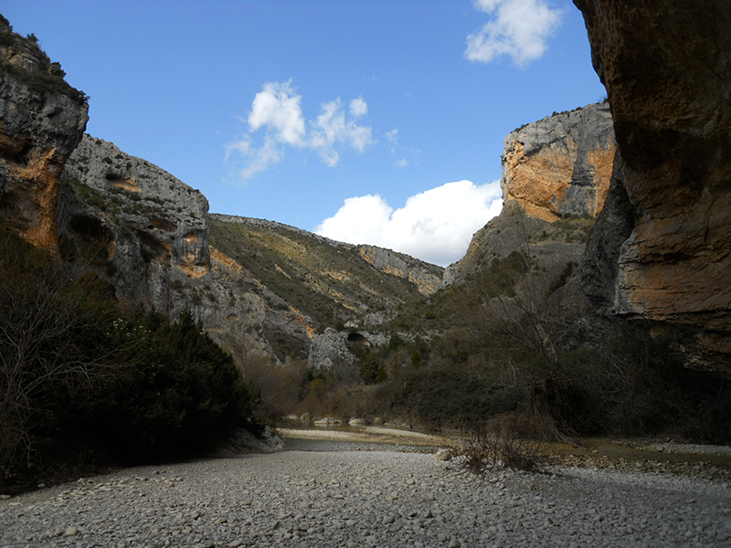 Filosofía de Aragonea