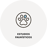 ESTUDIOS FAUNISTICOS 1