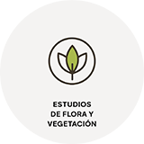 ESTUDIOS DE FLORA Y VEGETACIÓN 1