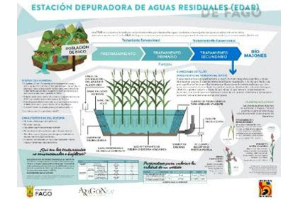 FILTRO VERDE DE FAGO