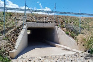 DISPOSITIVOS DE PASO DE FAUNA Y ESCAPE PARA AUTOVIAS