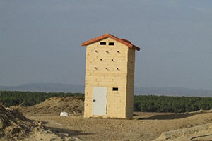 EDIFICIOS PARA LA NIDIFICACION DEL CERNICALO PRIMILLA