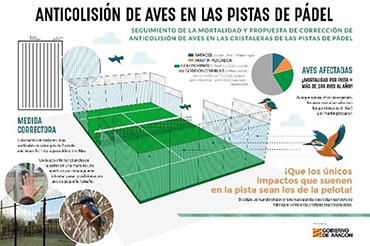 ESTUDIO PARA EVITAR LAS COLISIONES DE AVES EN LAS PISTAS DE PADEL