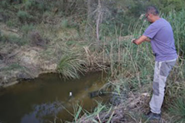 PROSPECCIÓN DEL CANGREJO DE RIO AUTOCTONO ENTORNO EMBALSE DE BISCARRUES