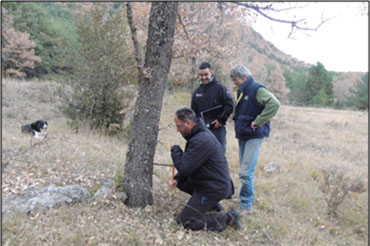 INFORME PERICIAL DE LAS DELIMITACIÓN DE FINCAS RURALES