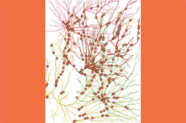 ESTUDIO DE INCENDIOS FORESTALES DE UN MUNICIPIO PARA LA ELABORACION DE UN PLANO INFORMATIVO DE PROTECCION CIVIL MUNICIPAL RIESGO DE INCENDIOS