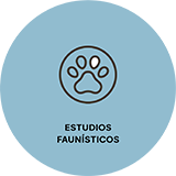 ESTUDIOS FAUNISTICOS 2